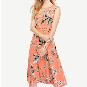 Ann Taylor Floral Oasis Dress, Coral punch, 4